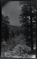 Film transparency of Mt. Charleston, Nevada, circa late 1930s