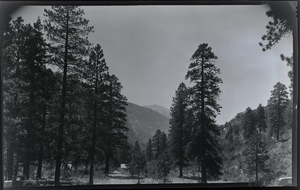 Film transparency of Mt. Charleston, Nevada, circa late 1930s