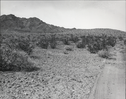 Photograph of the desert site that later became Boulder City, Nevada, March 13, 1931