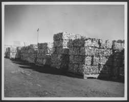 Black-and-white photograph of pallets of recycled aluminium, Las Vegas, Nevada, circa 1970s-1980s