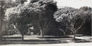 Photograph of the Squires home, Las Vegas, circa 1906