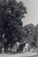 Transparency of the Stewart home, Las Vegas, circa early 1900s