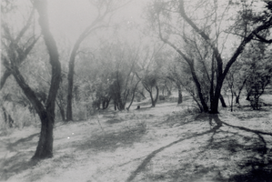 Transparency of Las Vegas Ranch, Las Vegas, circa early 1900s