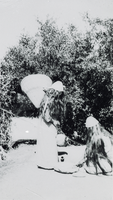 Transparency of women, circa early-mid 1900s