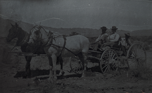 Transparency of freight team near Las Vegas, June 1906