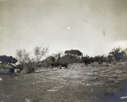 Photograph of Las Vegas Ranch, Las Vegas, circa 1890s-1910s