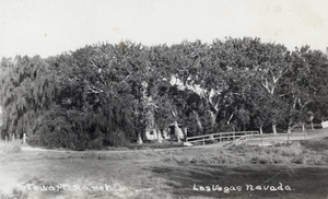 Postcard of Stewart Ranch, Las Vegas, circa early 1900s