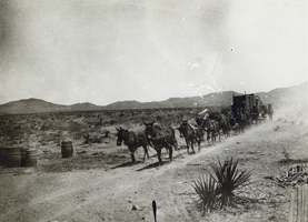 Photograph of freight team, Goodsprings, Nevada, circa 1890s-1920s