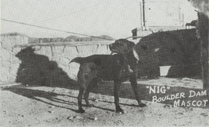 Photograph of Hoover Dam mascot dog, Boulder City, Nevada, circa 1931-1936