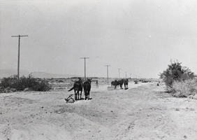 Photograph of Boulder Highway preparation near Boulder City, Nevada, 1931