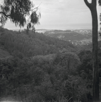 Photograph of a mountain top view of a city, location unknown, circa 1900s