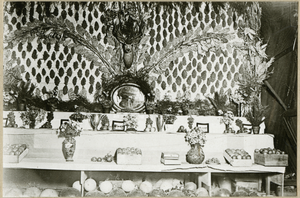 Photograph collage of the Southern Nevada Fair, 1923, image 8