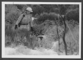 Photograph of Airman George Taylor and his track dog, Nellis Air Force Base, Nevada, February 12, 1978