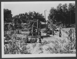 Photograph of Lorenzi Park, June 1, 1982