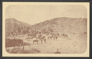 Postcard of mule teams, Belleville, Nevada, 1880s