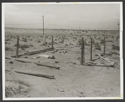 Photograph of cemetry, Boulderado, Nevada, 1964