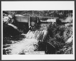 Photograph of creek, Las Vegas, Nevada, circa early 1900s