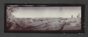 Photograph of horses pulling wagons for railroad construction, Nevada, circa 1903-1904