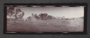 Photograph of survey camp, Caliente, Nevada, circa 1903-1904