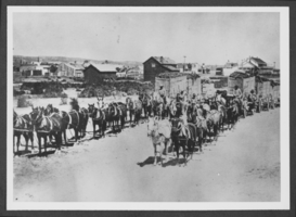 Photograph of horsedrawn wagons, Nevada, circa early 1900s