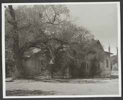 Photograph of Taylor Ranch, Las Vegas, Nevada, 1964