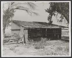 Photograph of Taylor Ranch, Las Vegas, Nevada, 1964