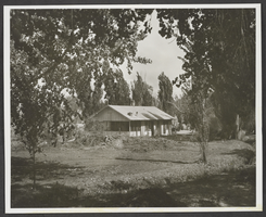 Photograph of Taylor Ranch, Las Vegas, Nevada, 1964