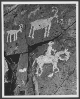 Photograph of petroglyphs, circa mid 1900s -late 1900s