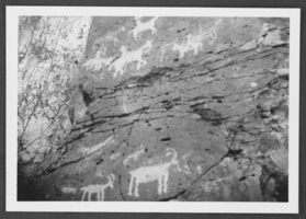 Photograph of petroglyphs, circa mid 1900s -late 1900s