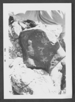 Photograph of petroglyphs, circa mid 1900s -late 1900s