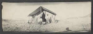 Photograph of railroad survey camp, Clark County, Nevada, 1904