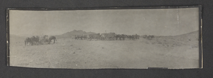 Photograph of wagons and teams, Clark County, Nevada, 1904
