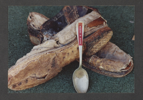Photograph of artifacts found in Queho's cave, Nevada, circa mid 1900s