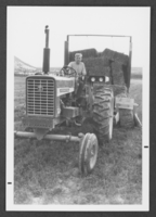 Photograph of a man hauling hay, Panaca, Nevada, circa 1970s.