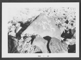 Photograph of petroglyphs, Southern Nevada, December 1964