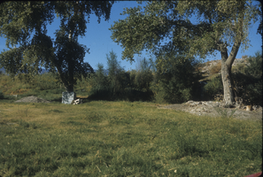 Slide of Resting Springs, Nevada, circa 1960s - 1983