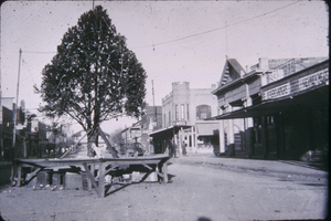 Slide of a Christmas tree on Fremont Street, Las Vegas, circa 1930s