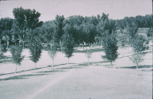 Slide of snow-covered Las Vegas, circa 1930s