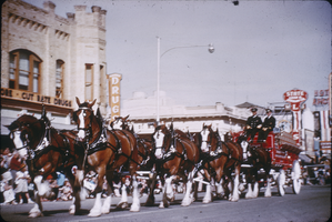 Slide of Helldorado Parade, Las Vegas, circa 1930s - 1940s