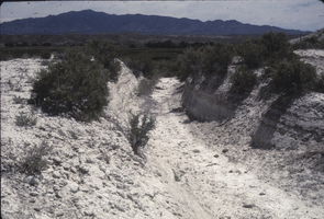 Slide of Panaca Big Ditch, circa 1960s - 1970s