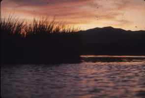 Slide of Panaca Spring, Panaca, Nevada, June 1970