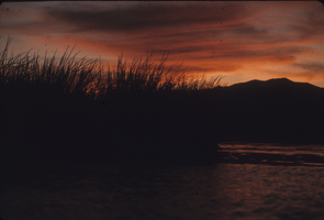 Slide of Panaca Spring, Panaca, Nevada, June 1970