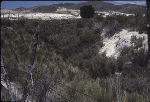 Slide of Panaca Big Ditch, Nevada, circa 1960s - 1970s
