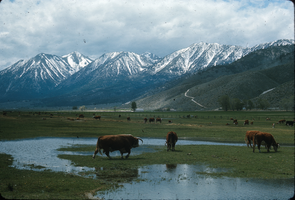 Slide of Carson Valley, Nevada, circa May 1966