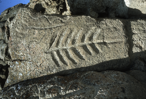 Slide of petroglyphs, Lahontan, Nevada, circa 1960s