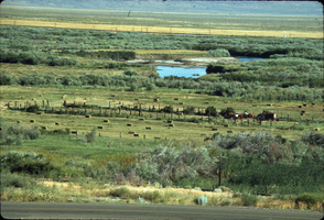 Slide of Humboldt River, Nevada, circa 1960s