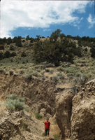 Slide of Earthquake fault, Churchill County, Nevada, circa 1960s
