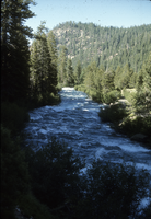 Slide of the Truckee River, circa 1970s