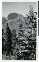 Photograph of Mt. Charleston, Nevada, circa 1925