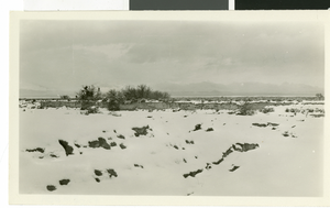 Photograph of snow in the Las Vegas deserts, Las Vegas, circa 1930